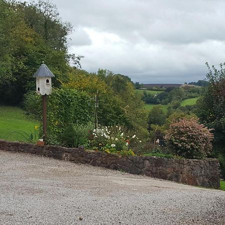 Immaculate 1-Bed Lodge Newton Abbot Torquay Kingskerswell エクステリア 写真
